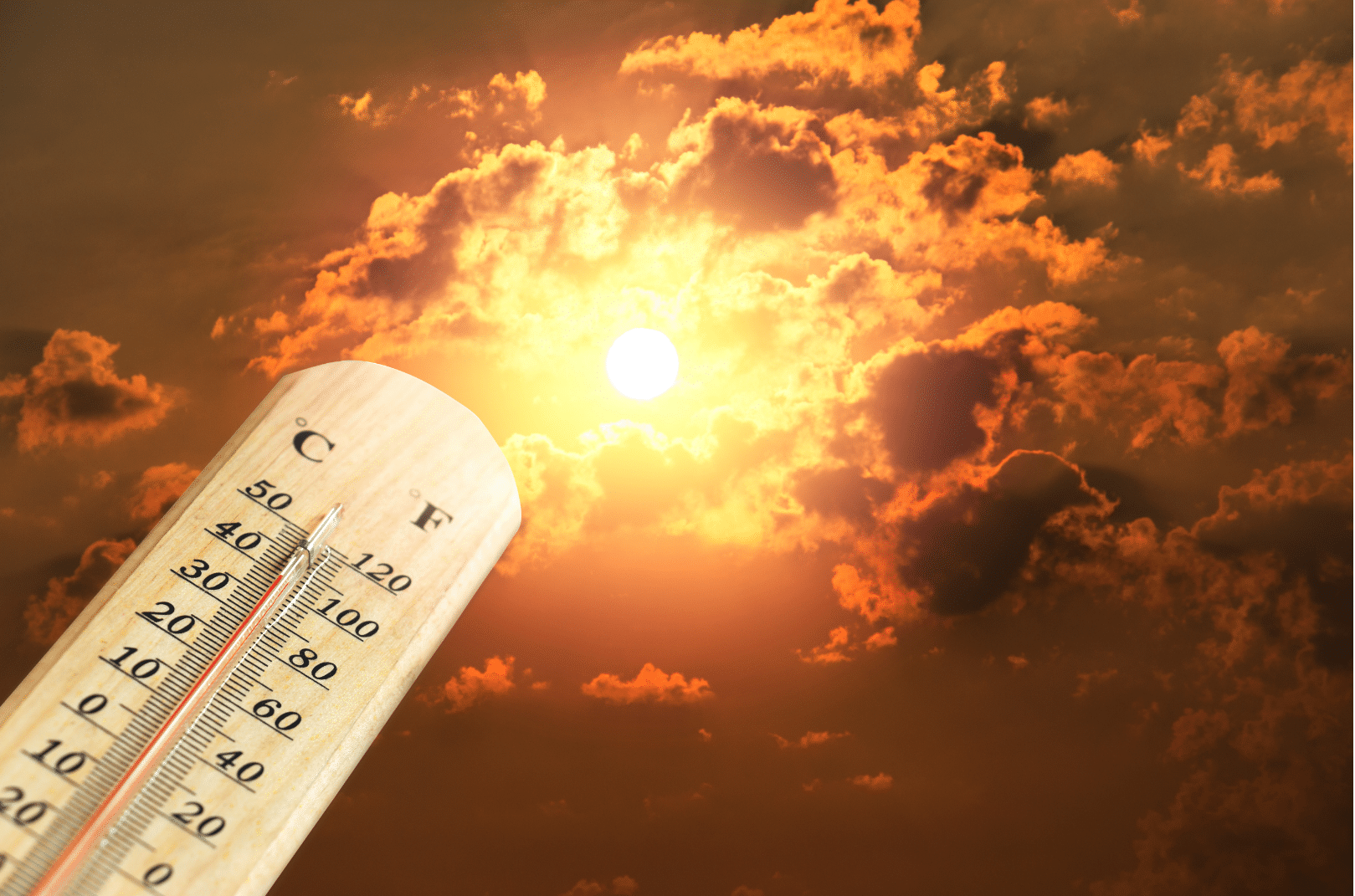 Hot summer sun causing heat wave